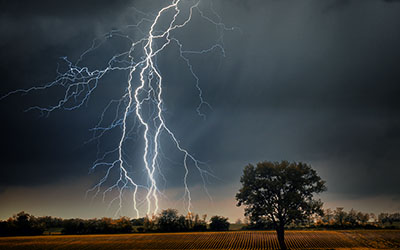 lightning bolt in field with tree