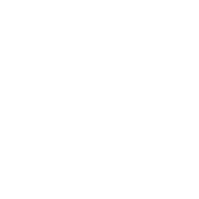 Umbrella coverage icon