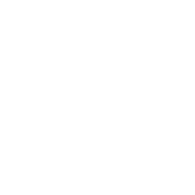 Car in garage icon