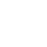 Street Licensed and Non-Licensed Cars icon